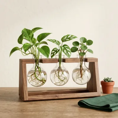 Illustration of Glass Propagation Station Planter